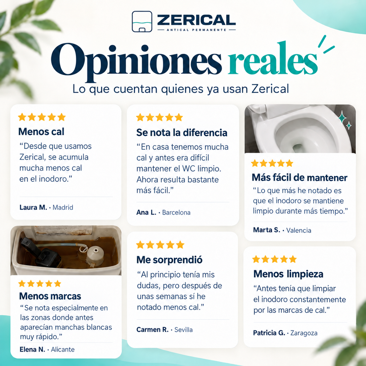 Zerical™ | Antical Permanente